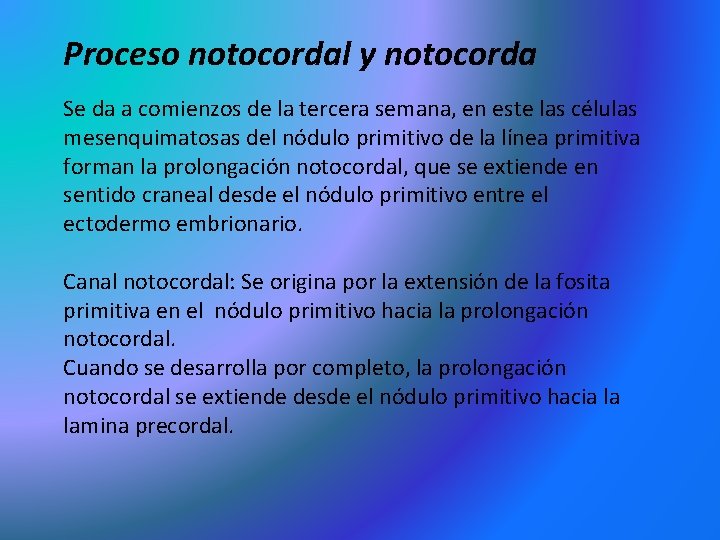 Proceso notocordal y notocorda Se da a comienzos de la tercera semana, en este