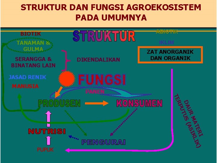 STRUKTUR DAN FUNGSI AGROEKOSISTEM PADA UMUMNYA ABIOTIK TANAMAN & GULMA SERANGGA & BINATANG LAIN