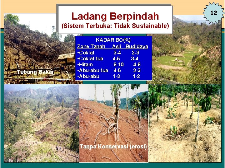 Ladang Berpindah (Sistem Terbuka: Tidak Sustainable) Tebang Bakar KADAR BO(%) Zone Tanah Asli Budidaya