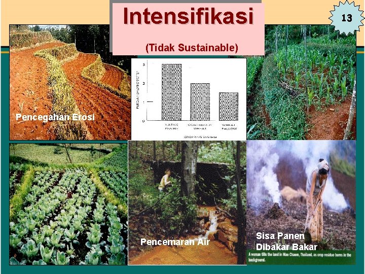 Intensifikasi 13 (Tidak Sustainable) Pencegahan Erosi Pencemaran Air Sisa Panen Dibakar Bakar 