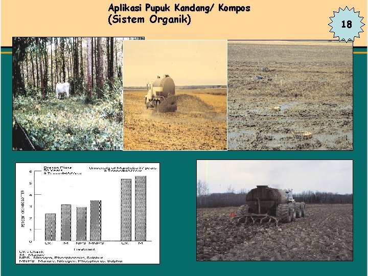 Aplikasi Pupuk Kandang/ Kompos (Sistem Organik) 18 