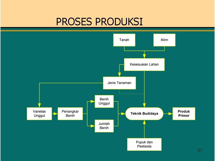 PROSES PRODUKSI 37 