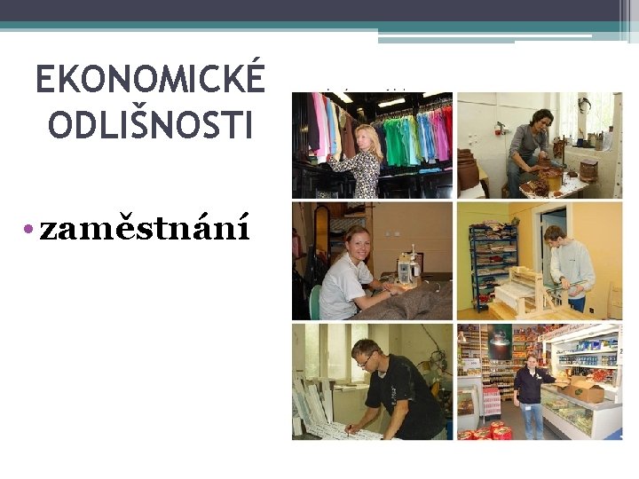 EKONOMICKÉ ODLIŠNOSTI • zaměstnání 