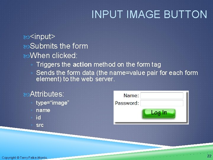 INPUT IMAGE BUTTON <input> Submits the form When clicked: ◦ Triggers the action method