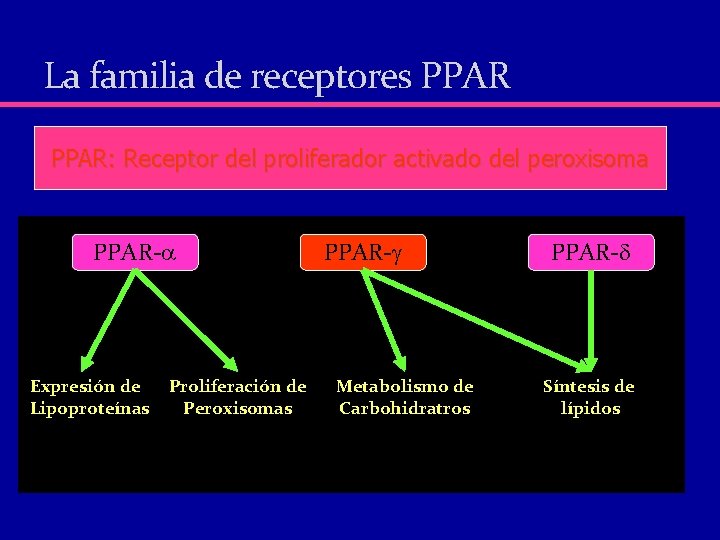 La familia de receptores PPAR: Receptor del proliferador activado del peroxisoma PPAR-a Expresión de
