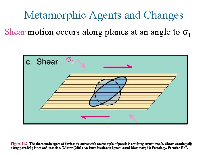 Metamorphic Agents and Changes Shear motion occurs along planes at an angle to s