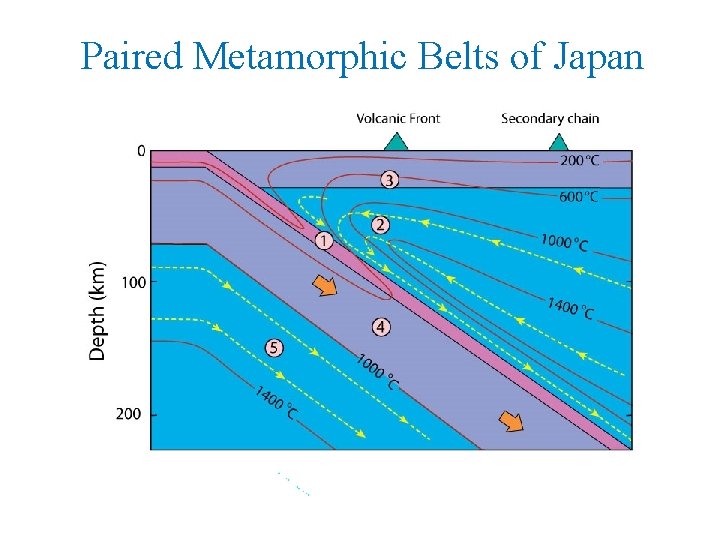 Paired Metamorphic Belts of Japan 