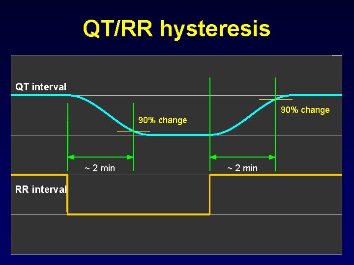 QT/RR hysteresis QT interval 90% change ~ 2 min RR interval ~ 2 min
