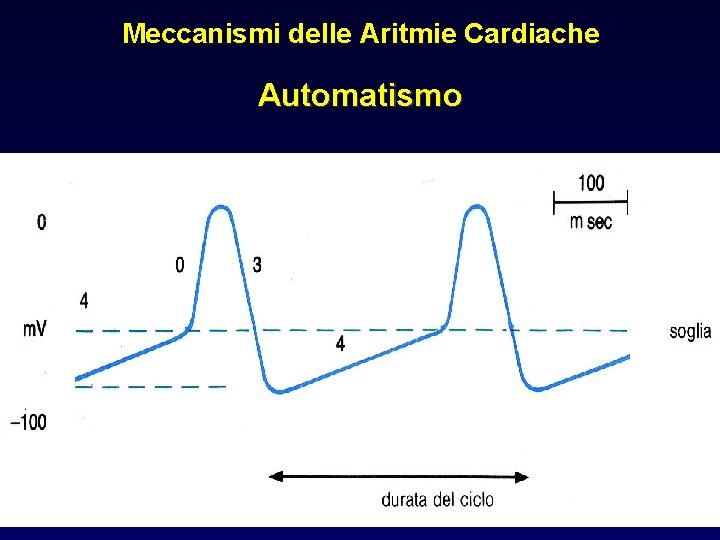 Meccanismi delle Aritmie Cardiache Automatismo 