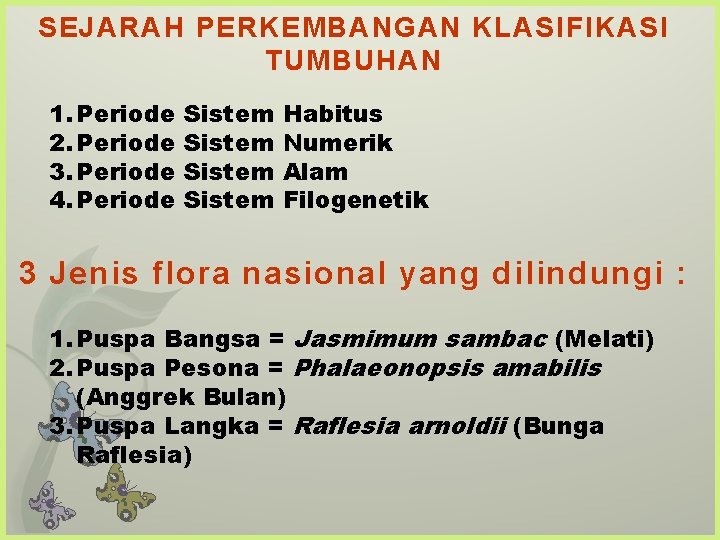 SEJARAH PERKEMBANGAN KLASIFIKASI TUMBUHAN 1. Periode 2. Periode 3. Periode 4. Periode Sistem Habitus