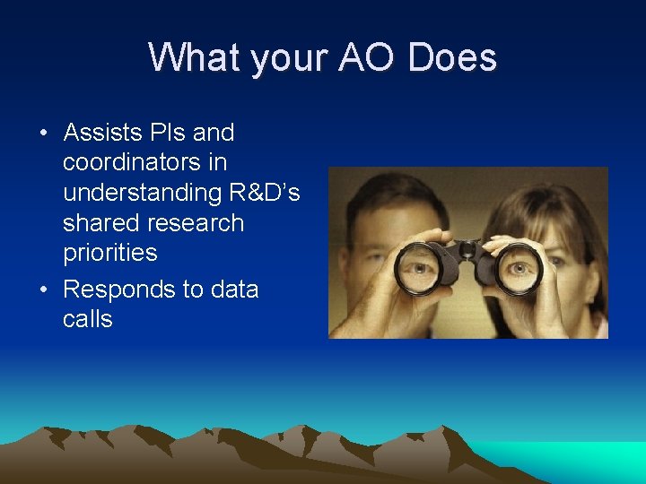 What your AO Does • Assists PIs and coordinators in understanding R&D’s shared research What your AO Does • Assists PIs and coordinators in understanding R&D’s shared research