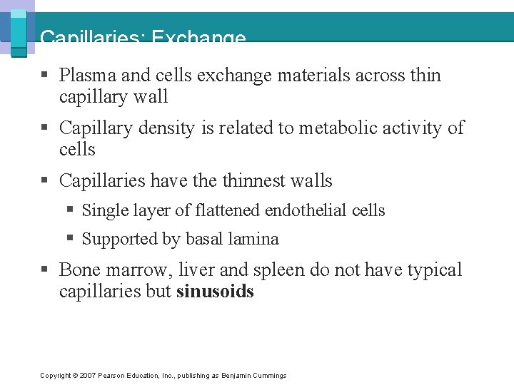 Capillaries: Exchange § Plasma and cells exchange materials across thin capillary wall § Capillary