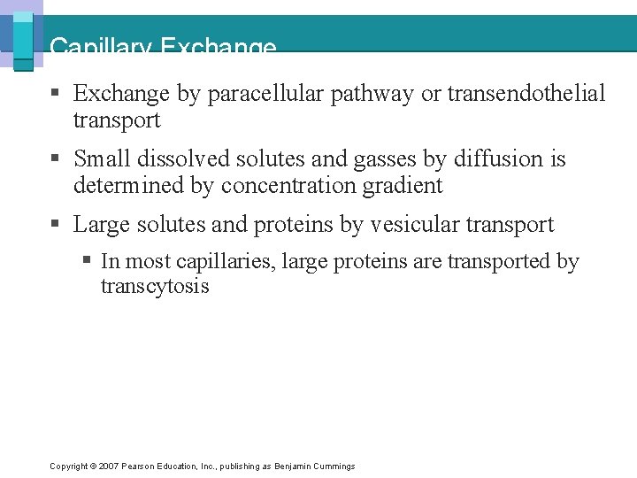 Capillary Exchange § Exchange by paracellular pathway or transendothelial transport § Small dissolved solutes
