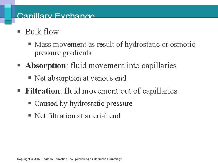 Capillary Exchange § Bulk flow § Mass movement as result of hydrostatic or osmotic