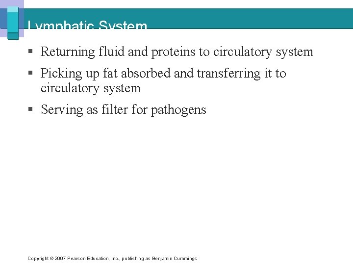 Lymphatic System § Returning fluid and proteins to circulatory system § Picking up fat