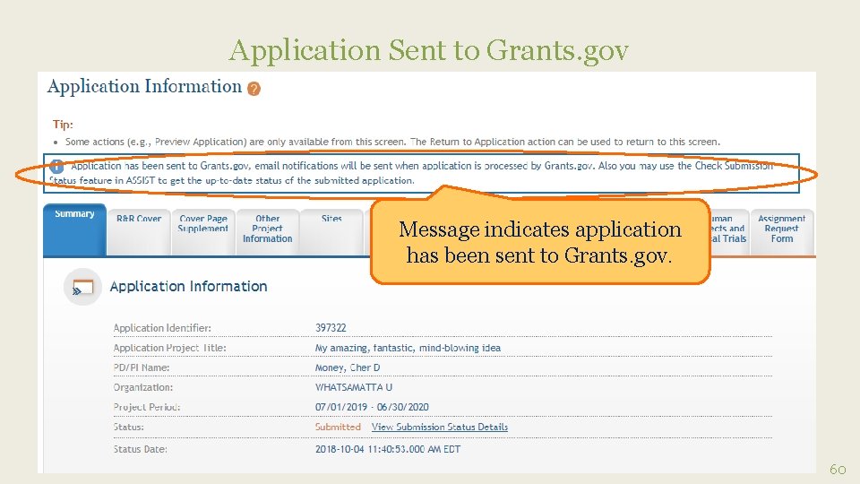 Application Sent to Grants. gov Message indicates application has been sent to Grants. gov.