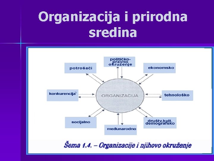 Organizacija i prirodna sredina Organizacija i prirodna sredina
