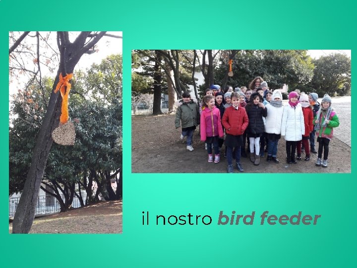 il nostro bird feeder 