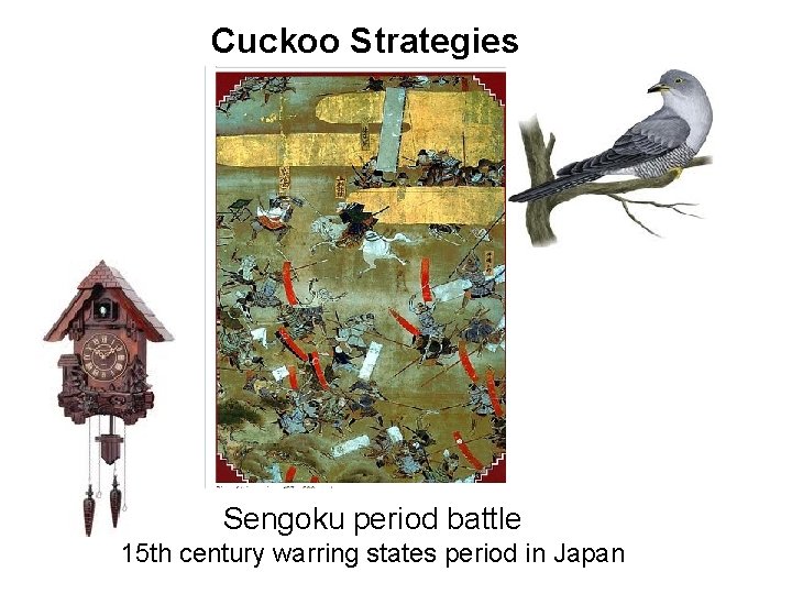 Cuckoo Strategies Sengoku period battle 15 th century warring states period in Japan 