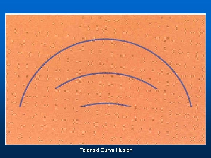 Tolanski Curve Illusion 