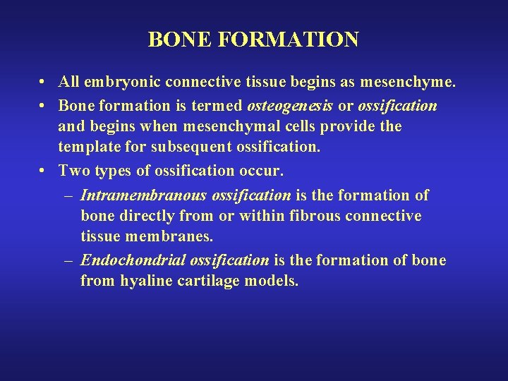 BONE FORMATION • All embryonic connective tissue begins as mesenchyme. • Bone formation is BONE FORMATION • All embryonic connective tissue begins as mesenchyme. • Bone formation is
