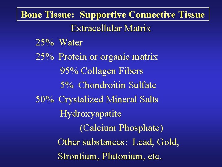Bone Tissue: Supportive Connective Tissue Extracellular Matrix 25% Water 25% Protein or organic matrix Bone Tissue: Supportive Connective Tissue Extracellular Matrix 25% Water 25% Protein or organic matrix