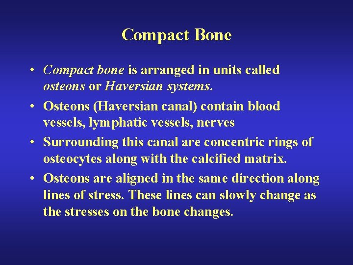 Compact Bone • Compact bone is arranged in units called osteons or Haversian systems. Compact Bone • Compact bone is arranged in units called osteons or Haversian systems.