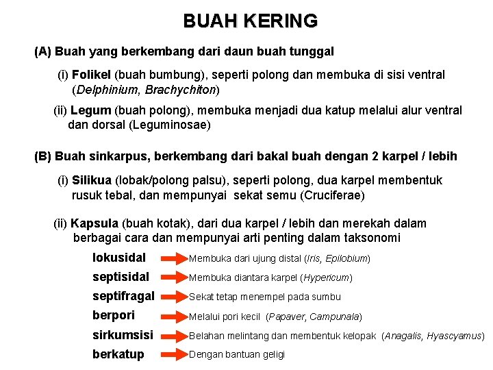 BUAH KERING (A) Buah yang berkembang dari daun buah tunggal (i) Folikel (buah bumbung),