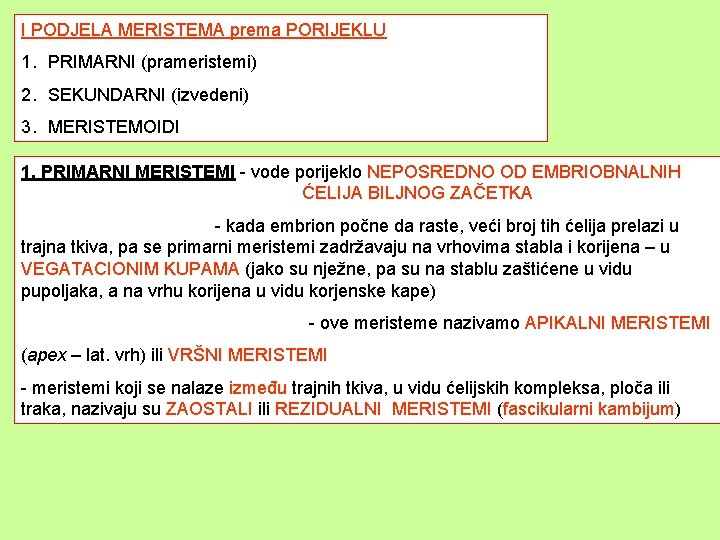 I PODJELA MERISTEMA prema PORIJEKLU 1. PRIMARNI (prameristemi) 2. SEKUNDARNI (izvedeni) 3. MERISTEMOIDI 1.