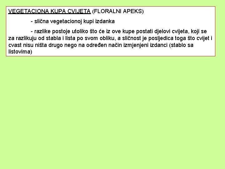 VEGETACIONA KUPA CVIJETA (FLORALNI APEKS) - slična vegetacionoj kupi izdanka - razlike postoje utoliko