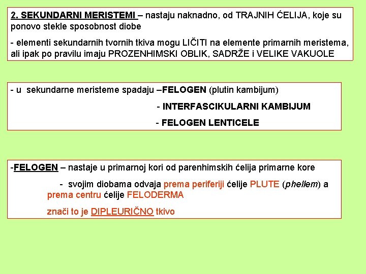 2. SEKUNDARNI MERISTEMI – nastaju naknadno, od TRAJNIH ĆELIJA, koje su ponovo stekle sposobnost