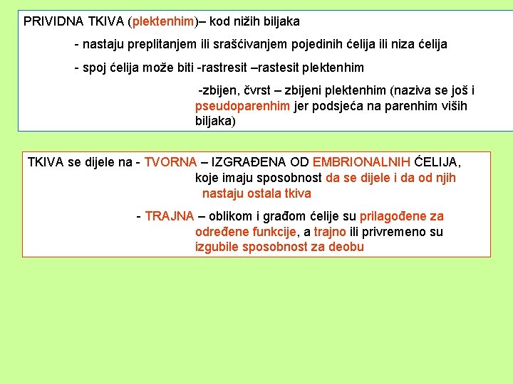 PRIVIDNA TKIVA (plektenhim)– kod nižih biljaka - nastaju preplitanjem ili srašćivanjem pojedinih ćelija ili