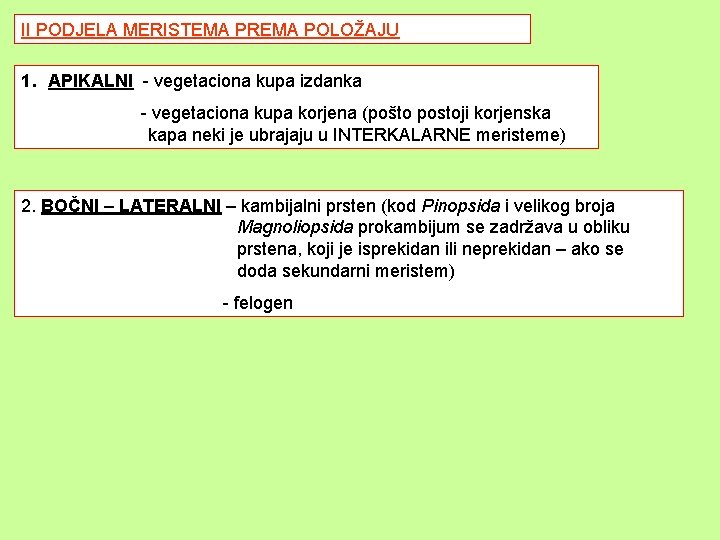 II PODJELA MERISTEMA PREMA POLOŽAJU 1. APIKALNI - vegetaciona kupa izdanka - vegetaciona kupa