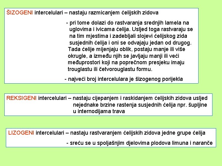 ŠIZOGENI intercelulari – nastaju razmicanjem ćelijskih zidova - pri tome dolazi do rastvaranja srednjih