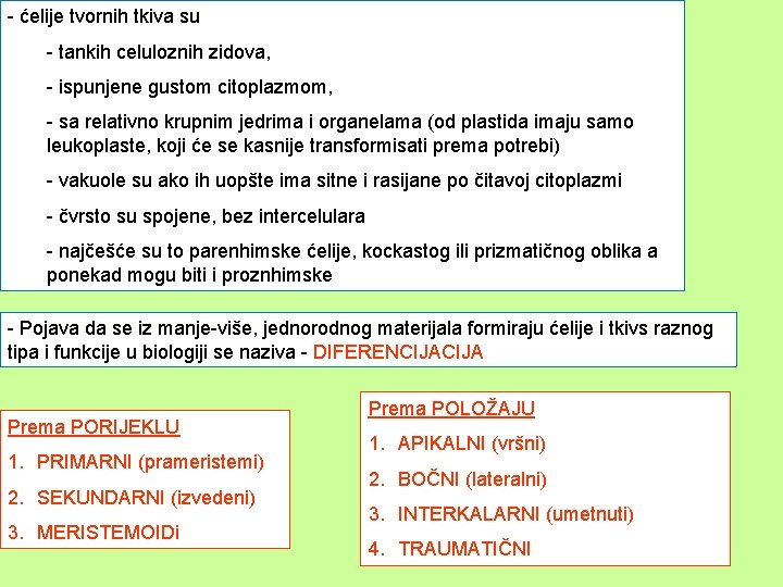 - ćelije tvornih tkiva su - tankih celuloznih zidova, - ispunjene gustom citoplazmom, -