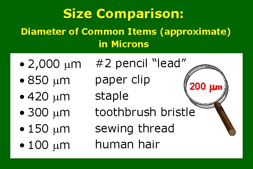 Size Comparison: Diameter of Common Items (approximate) in Microns • 2, 000 m •