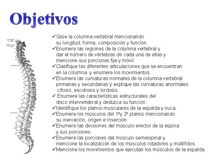 Objetivos üSitúe la columna vertebral mencionando su longitud, forma, composición y función. üEnumere las