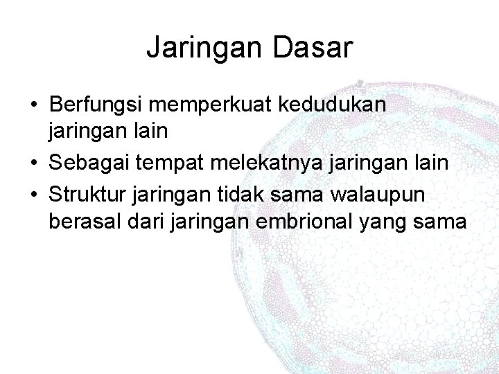 Jaringan Dasar • Berfungsi memperkuat kedudukan jaringan lain • Sebagai tempat melekatnya jaringan lain