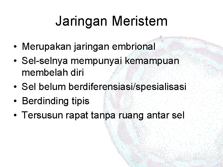 Jaringan Meristem • Merupakan jaringan embrional • Sel-selnya mempunyai kemampuan membelah diri • Sel