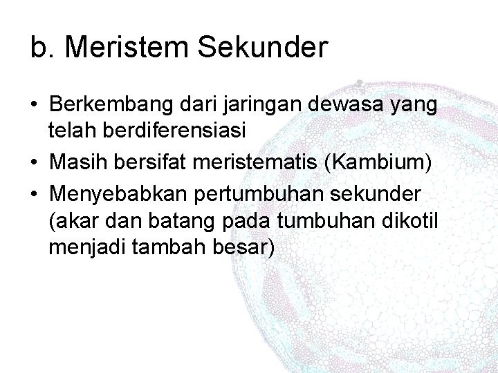 b. Meristem Sekunder • Berkembang dari jaringan dewasa yang telah berdiferensiasi • Masih bersifat