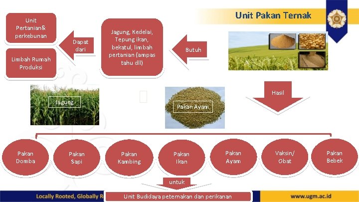Unit Pertanian& perkebunan Unit Pakan Ternak Dapat dari Limbah Rumah Produksi Jagung, Kedelai, Tepung