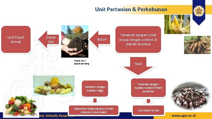 Unit Pertanian & Perkebunan Unit Pupuk ternak Dapat dari Butuh Pupuk cair / pupuk Unit Pertanian & Perkebunan Unit Pupuk ternak Dapat dari Butuh Pupuk cair / pupuk
