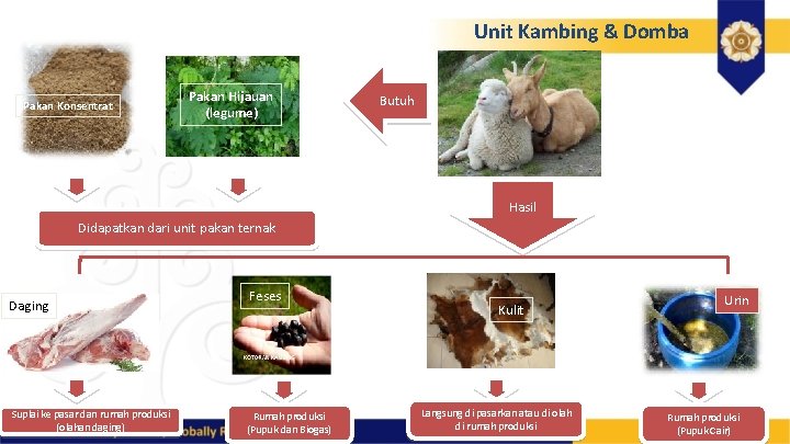 Unit Kambing & Domba Pakan Konsentrat Pakan Hijauan (legume) Butuh Hasil Didapatkan dari unit Unit Kambing & Domba Pakan Konsentrat Pakan Hijauan (legume) Butuh Hasil Didapatkan dari unit
