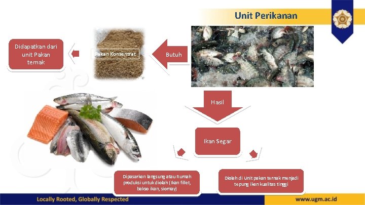 Unit Perikanan Didapatkan dari unit Pakan ternak Pakan Konsentrat Butuh Hasil Ikan Segar Dipasarkan Unit Perikanan Didapatkan dari unit Pakan ternak Pakan Konsentrat Butuh Hasil Ikan Segar Dipasarkan