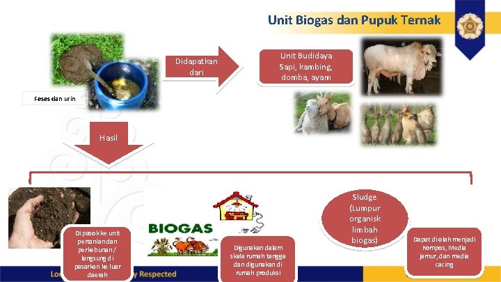 Unit Biogas dan Pupuk Ternak Didapatkan dari Unit Budidaya Sapi, kambing, domba, ayam Feses