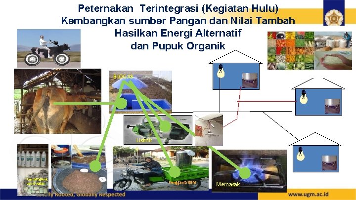 Peternakan Terintegrasi (Kegiatan Hulu) Kembangkan sumber Pangan dan Nilai Tambah Hasilkan Energi Alternatif dan Peternakan Terintegrasi (Kegiatan Hulu) Kembangkan sumber Pangan dan Nilai Tambah Hasilkan Energi Alternatif dan