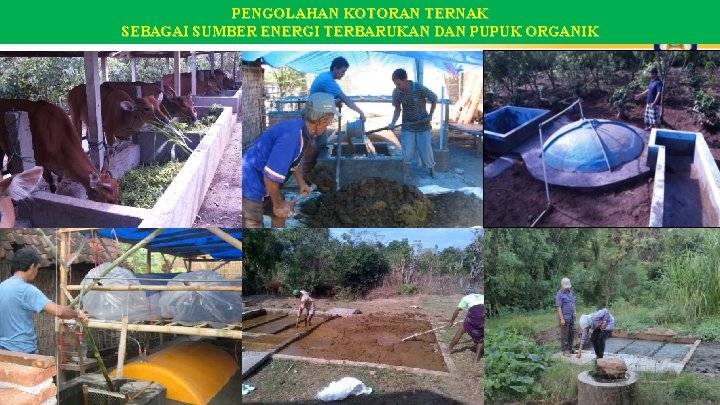 PENGOLAHAN KOTORAN TERNAK SEBAGAI SUMBER ENERGI TERBARUKAN DAN PUPUK ORGANIK PENGOLAHAN KOTORAN TERNAK SEBAGAI SUMBER ENERGI TERBARUKAN DAN PUPUK ORGANIK