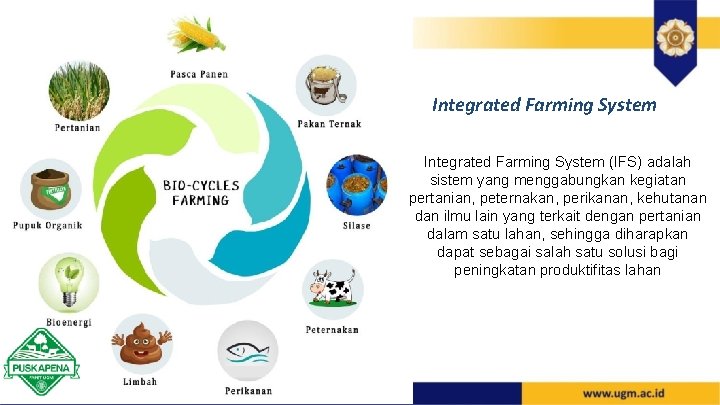 Integrated Farming System (IFS) adalah sistem yang menggabungkan kegiatan pertanian, peternakan, perikanan, kehutanan dan
