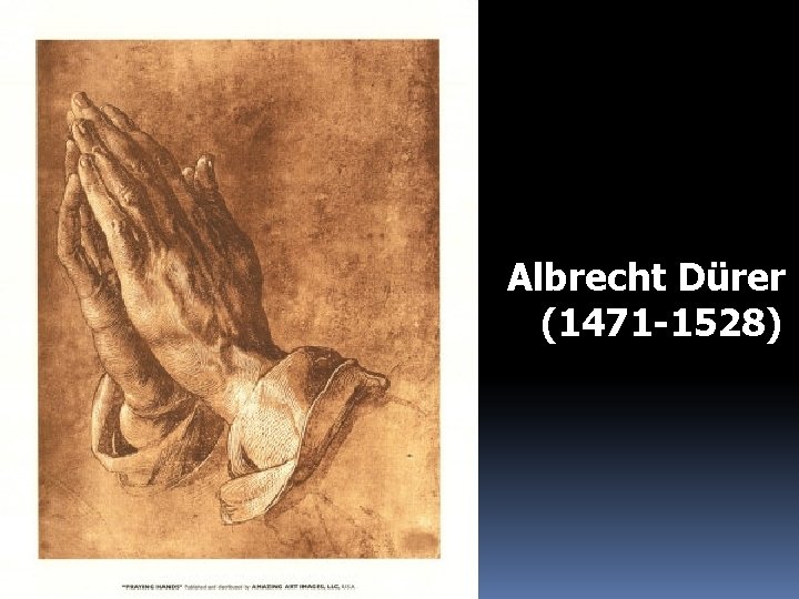 Albrecht Dürer (1471 -1528) 