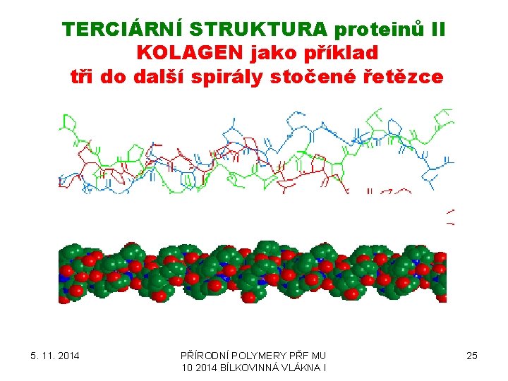 TERCIÁRNÍ STRUKTURA proteinů II KOLAGEN jako příklad tři do další spirály stočené řetězce 5.